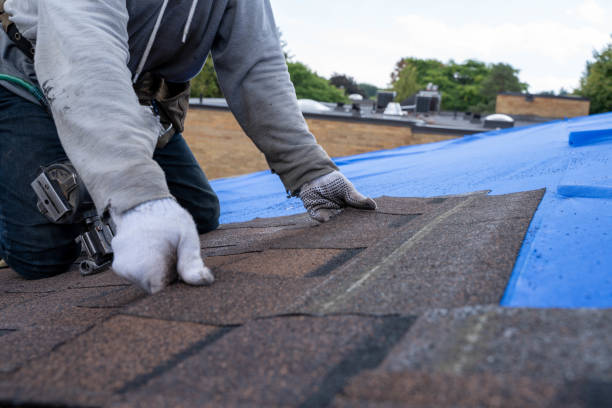 Best Shingle Roofing Installation  in Kekaha, HI